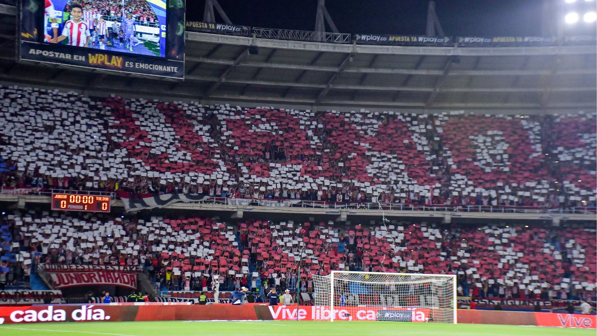 tzoynior-oyniversitario-100424