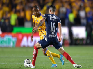 Μοντερέι - Τίγκρες