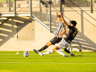 Βάασα - Γκνίσταν