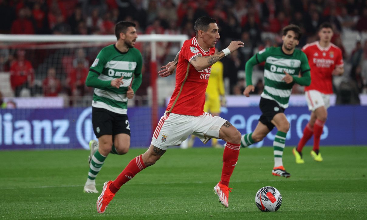 Οι βασιλιάδες της ζούγκλας