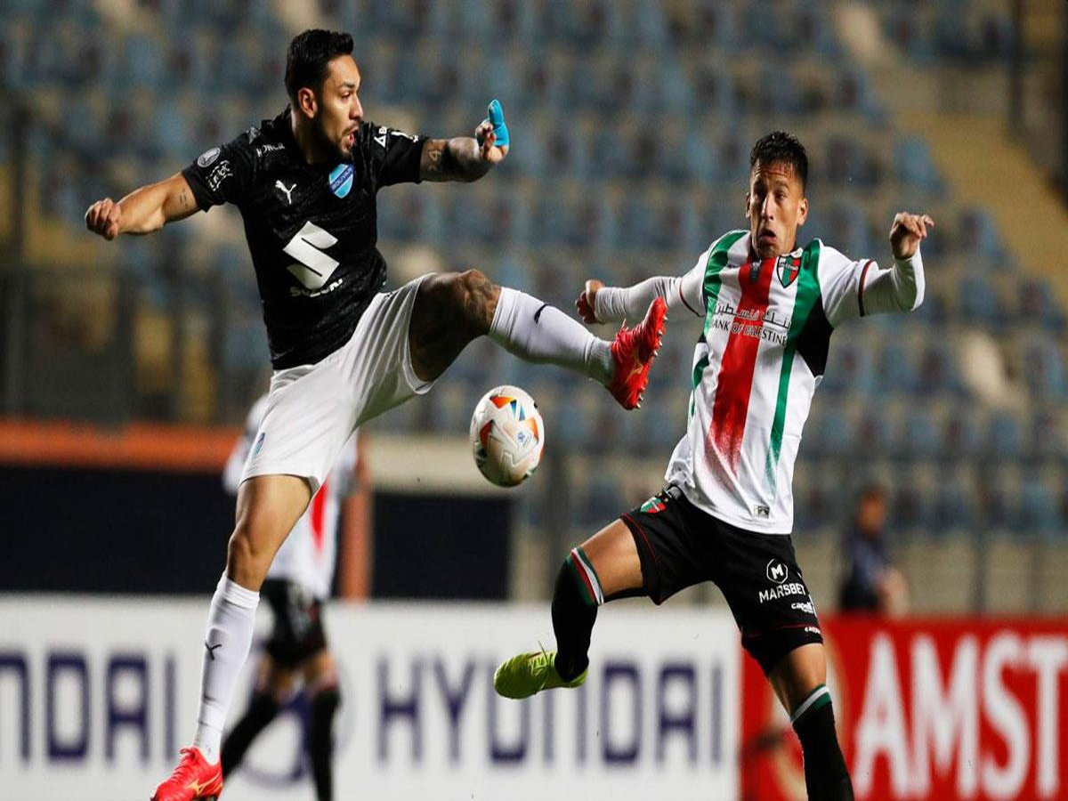 mpolivar-palestino-290524