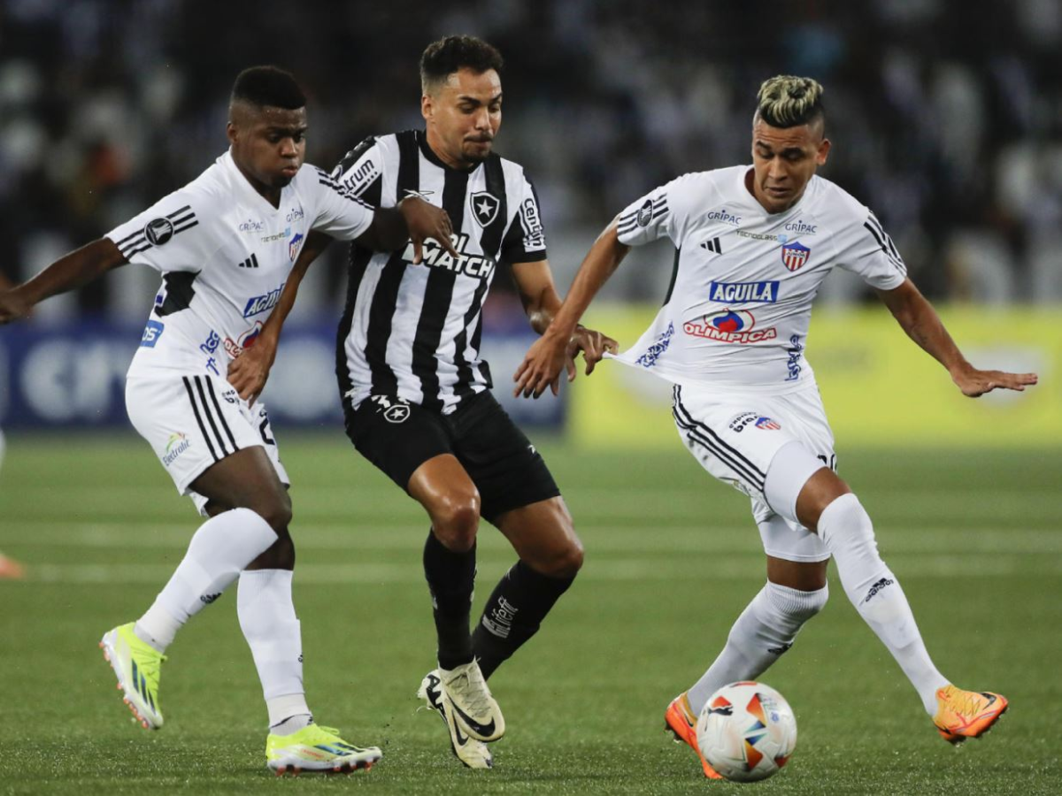 tzoynior-mpotafogko-290524