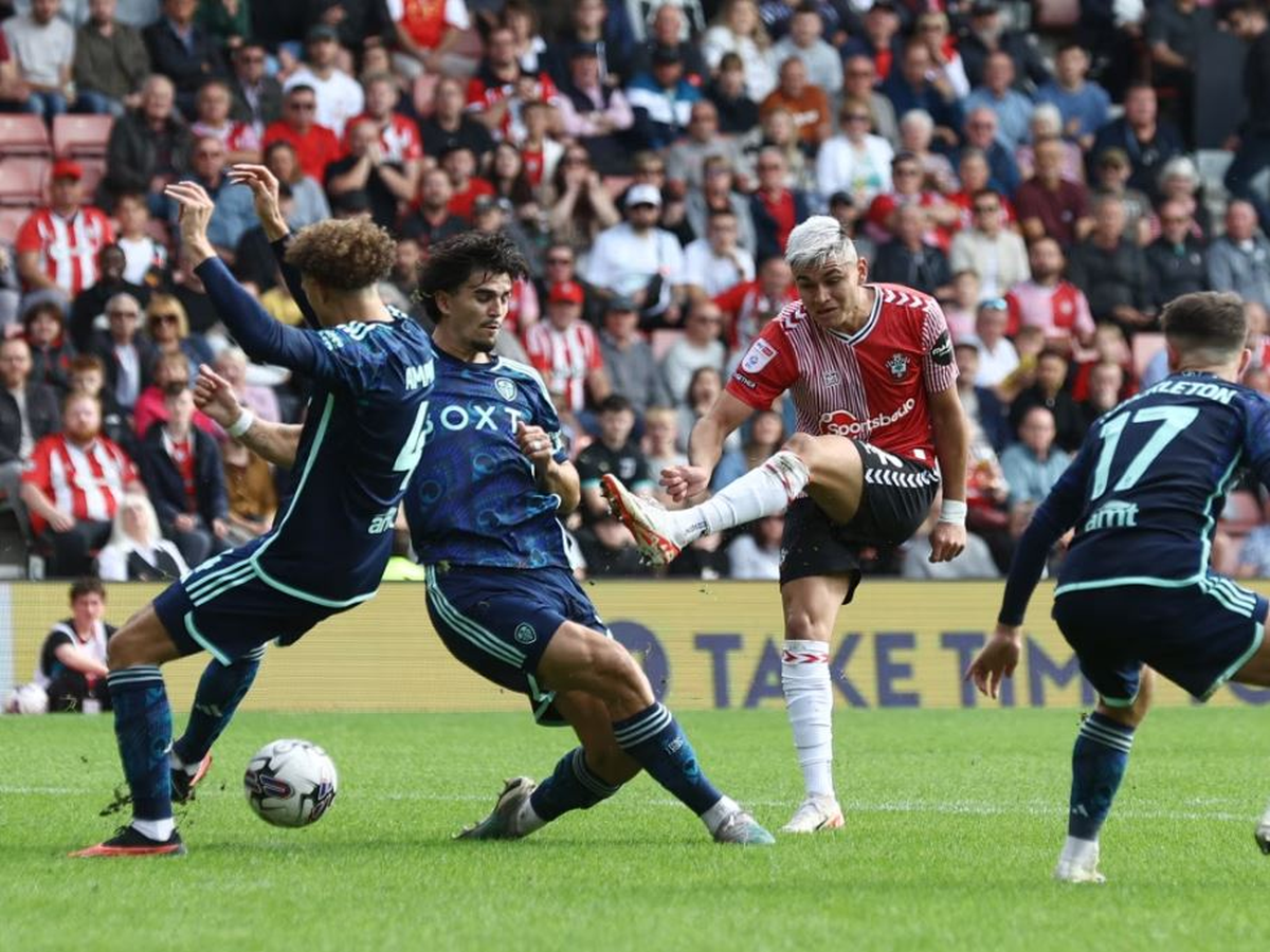 lints-saoythampton-040524