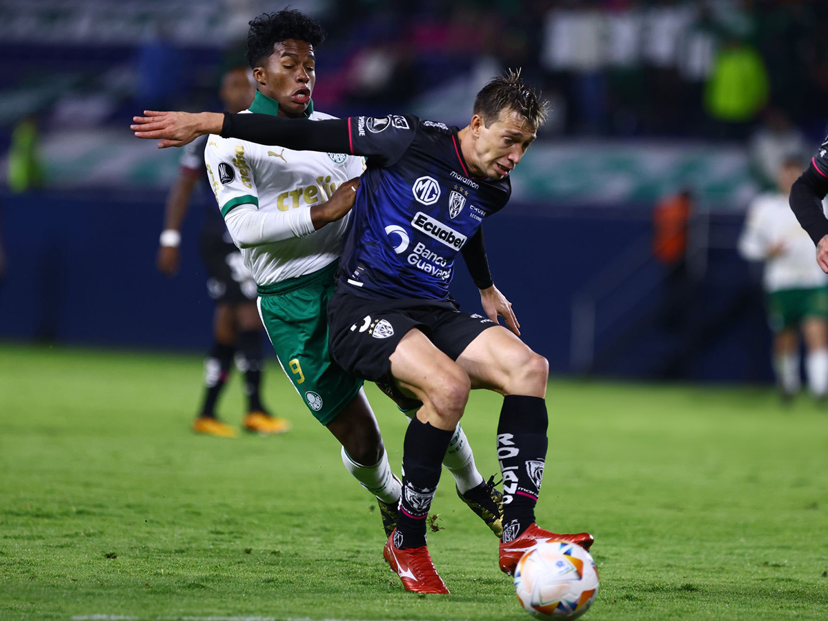 palmeiras-intep-ntel-vage-160524