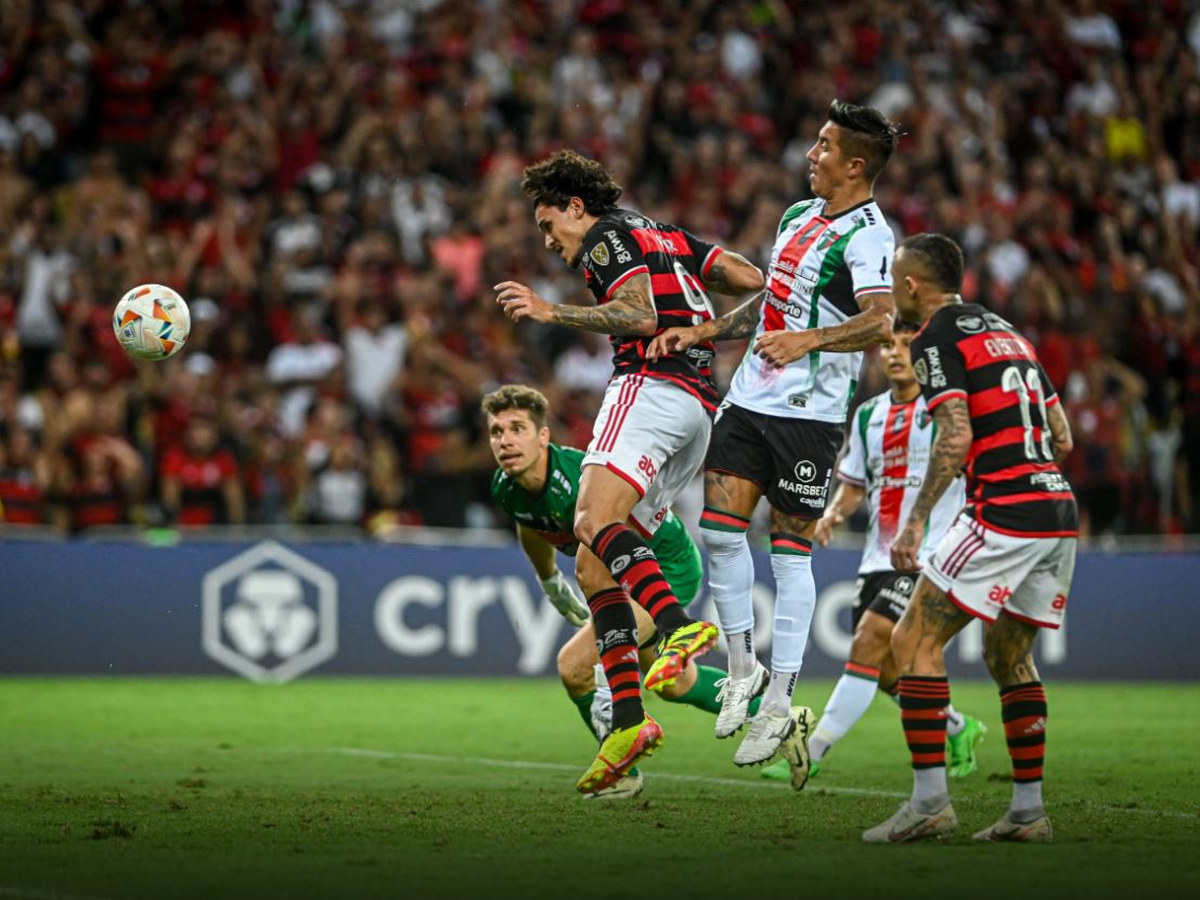 palestino-flamengko-080524