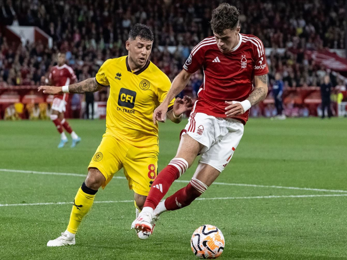 sefilnt-gioynaitent-notigxam-040524