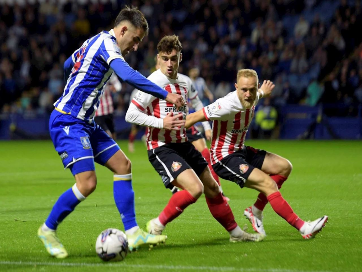 santerlant-sefilnt-goyensntei-040524