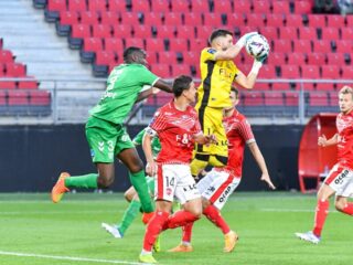 Γκινγκάμπ - Σεντ Ετιέν