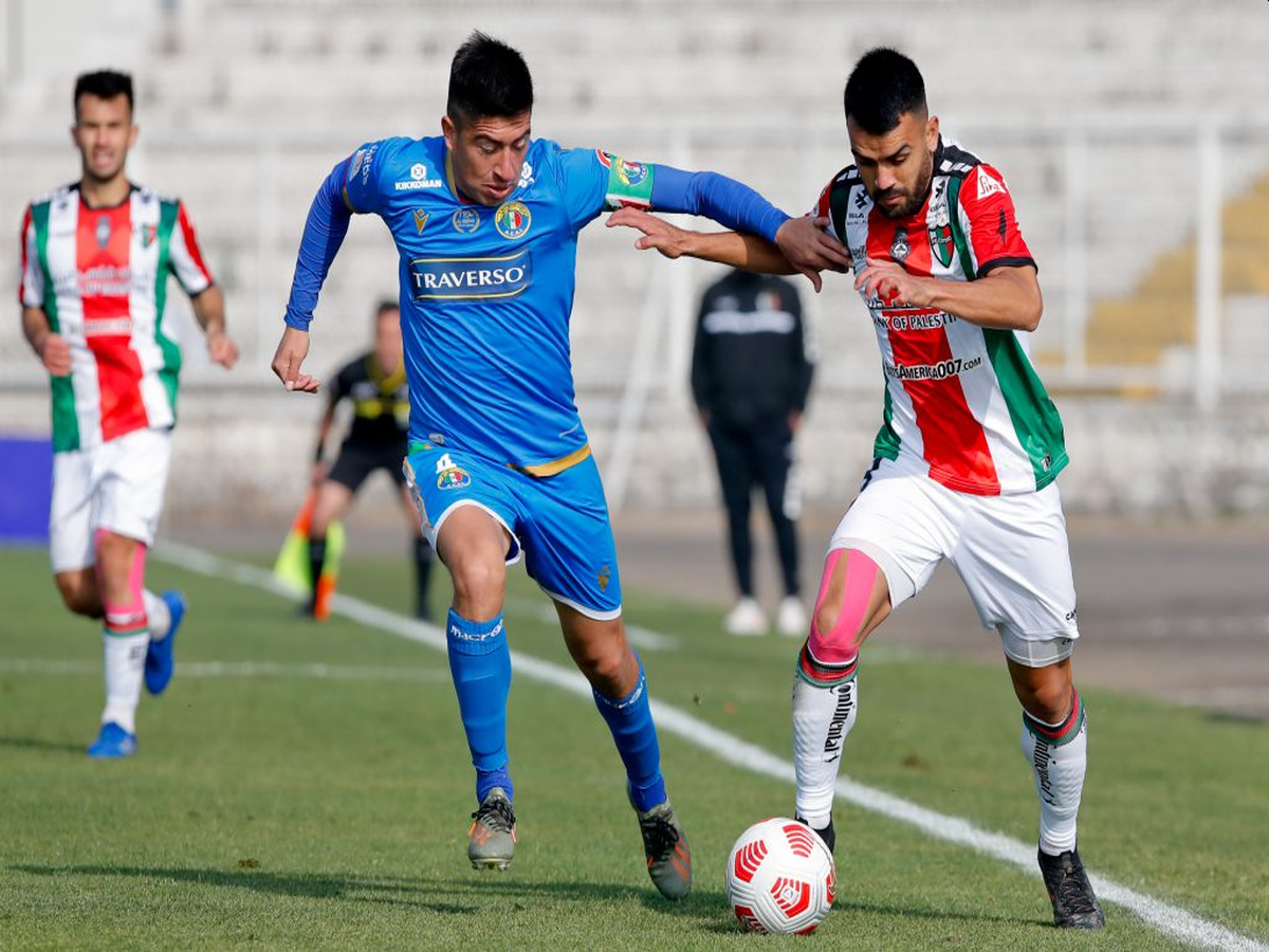 aoyntaks-italiano-palestino-020624