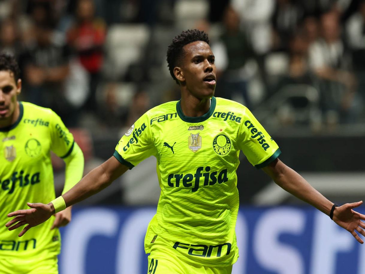 palmeiras-zoyventoyde-240624