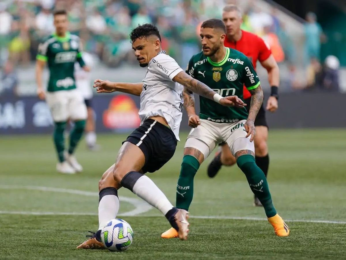 mpotafogko-palmeiras-180724