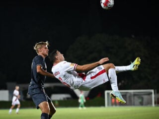 Μπράβο - Ζρίνσκι