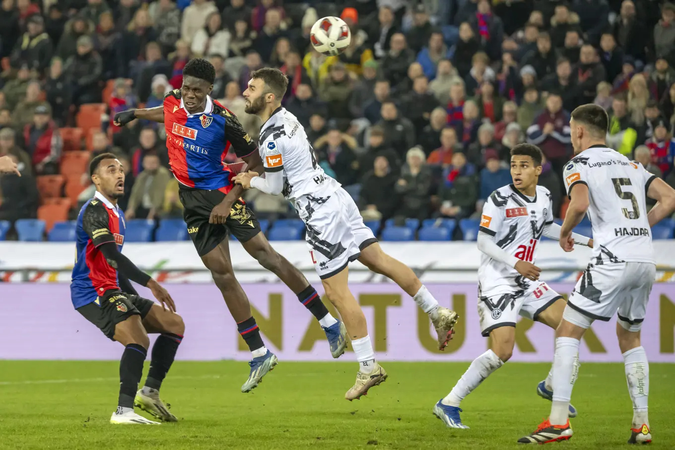 vasileia-loygkano-270724