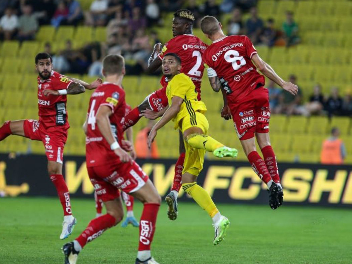 elfsmporgk-serif-010824