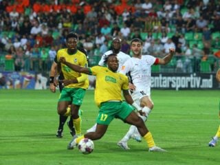 Αραράτ - Ζίμπρου