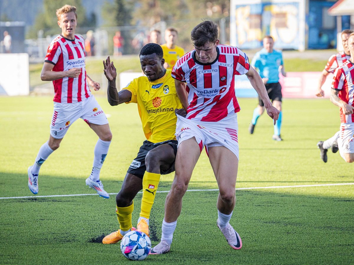 tromso-koyopio-010824