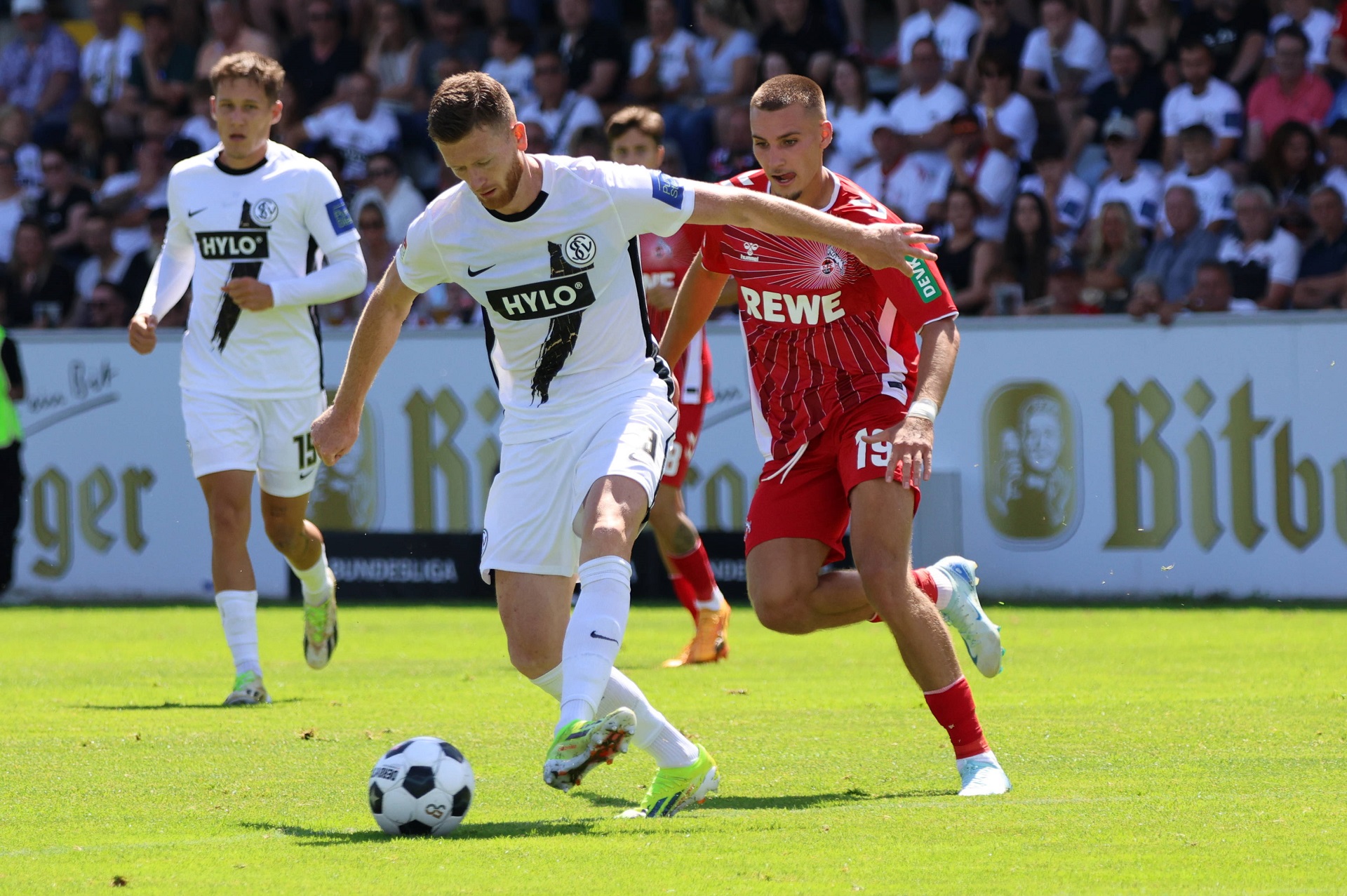 kolonia-elvensmpergk-250125