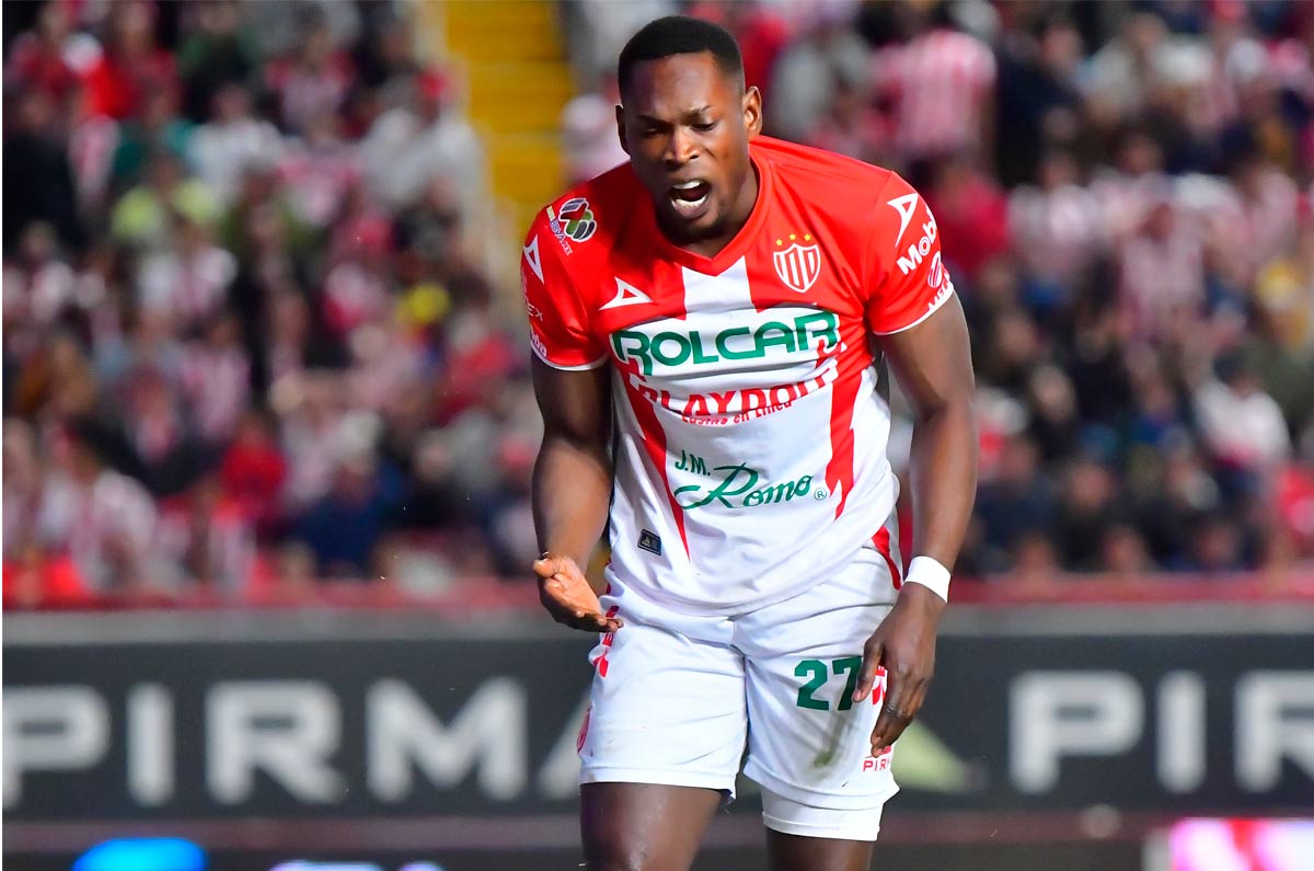 nekaksa-tigkres-020325