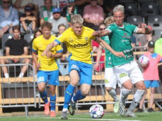 Γκνίσταν - Βάασα