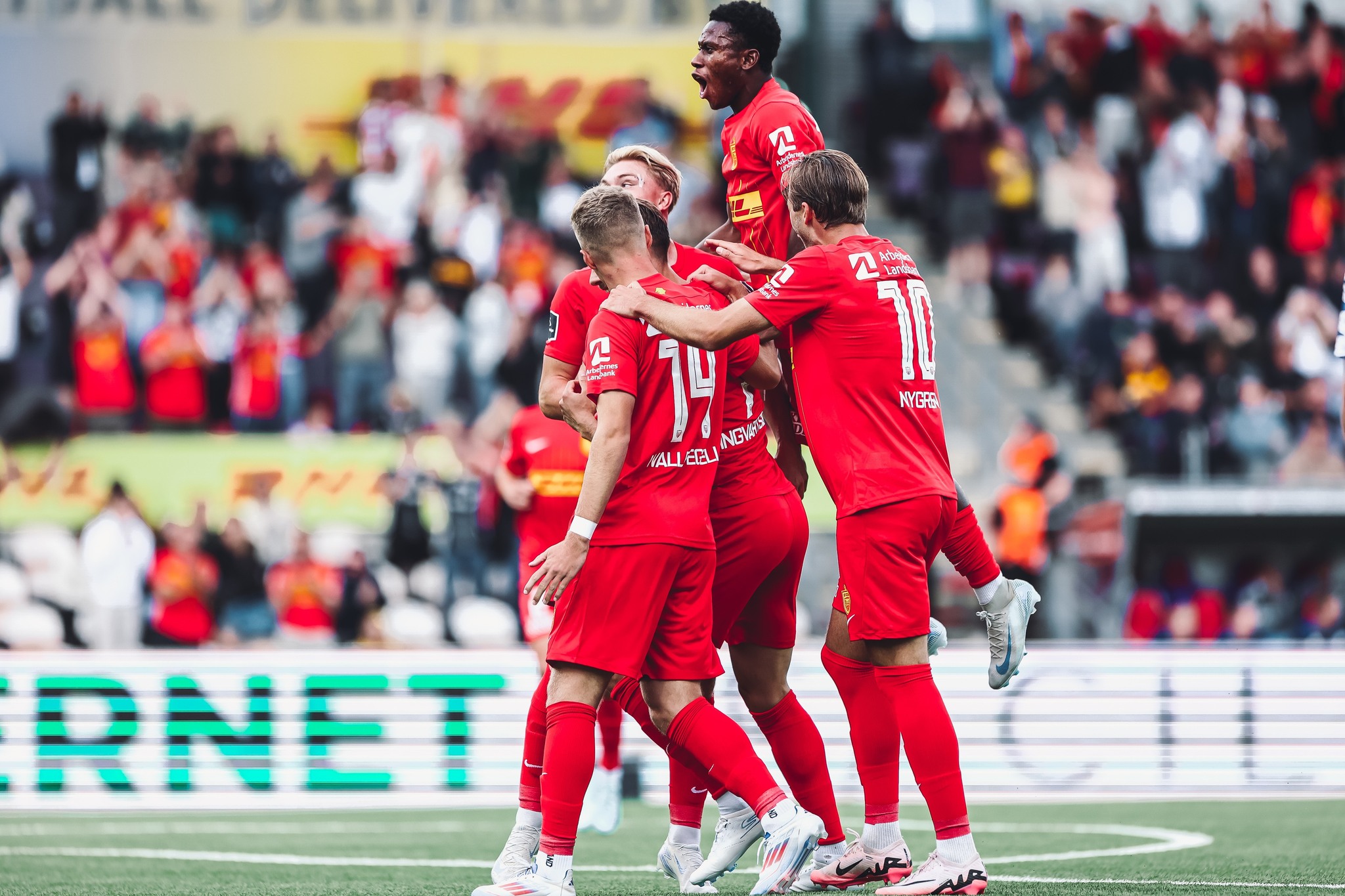 aarxoys-norntzelant-310824