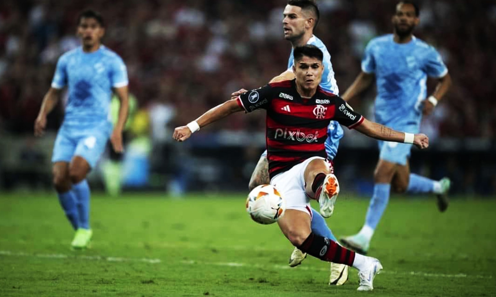 mpolivar-flamengko-230824