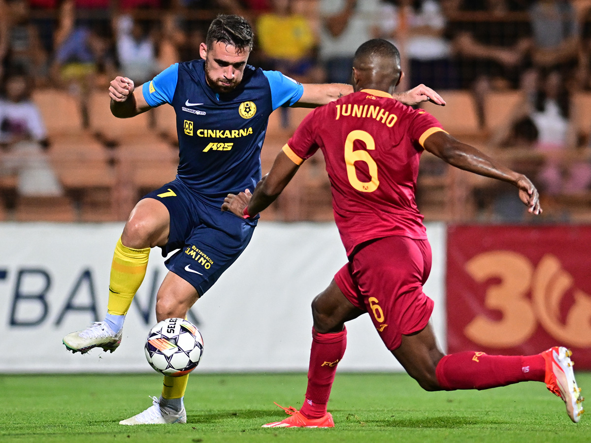 tselie-pioynik-290824