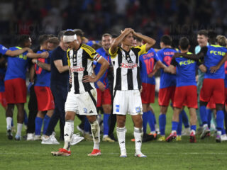 Λίντσερ - Βολφσμπέργκερ