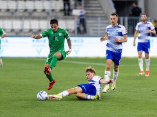 Λεβάντια - Οσιγεκ