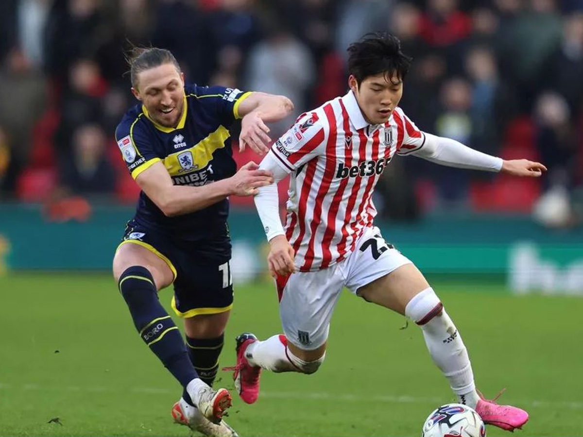 mintlesmpro-stooyk-270824