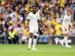 Νόριτς - Στίβενεϊτζ