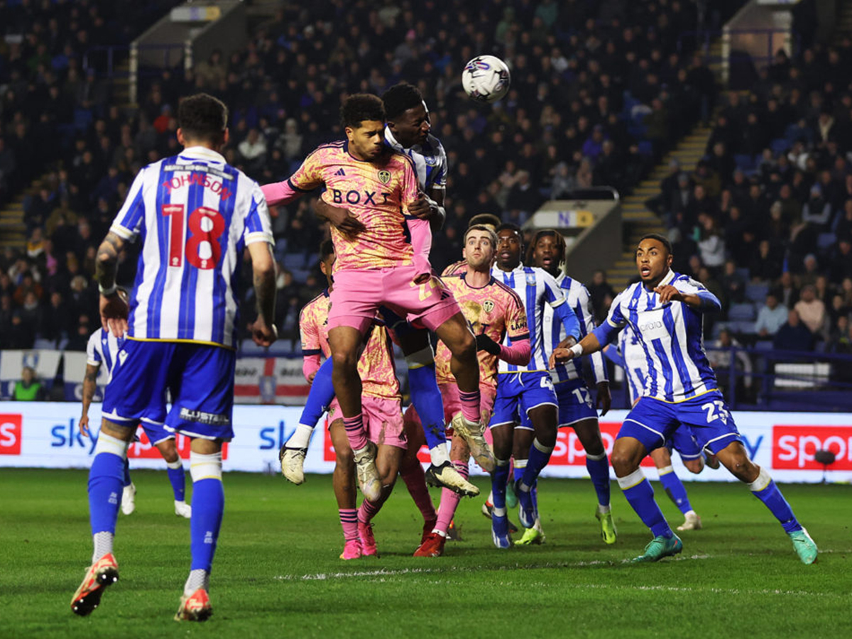 sefilnt-goyensntei-lints-230824