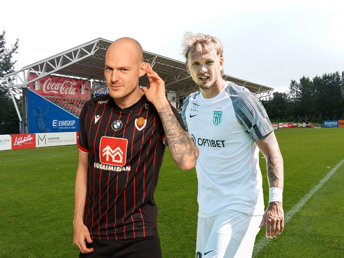 vikingkoyr-reikiavik-flora-talin-080824