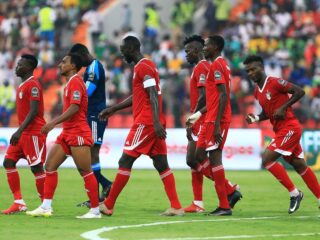 Σουδάν - Νίγηρας