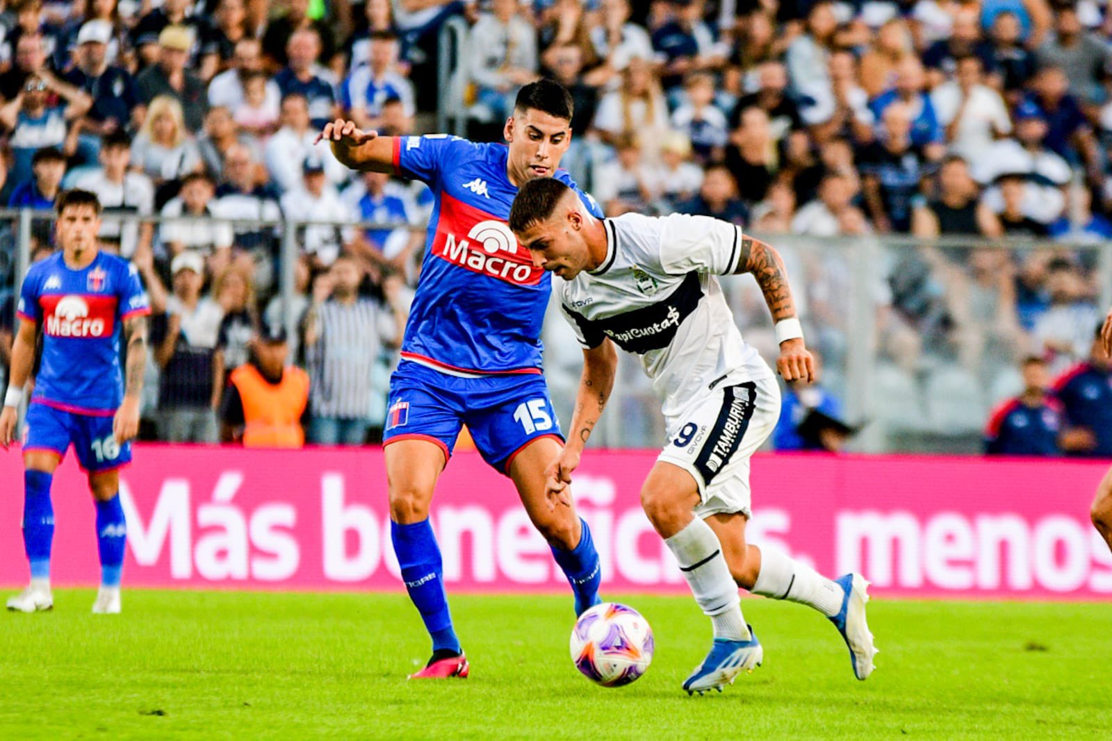 tigkre-ximnasia-la-plata-150924