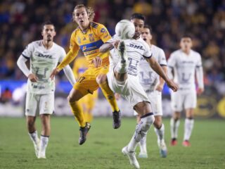 Πούμας - Τίγκρες