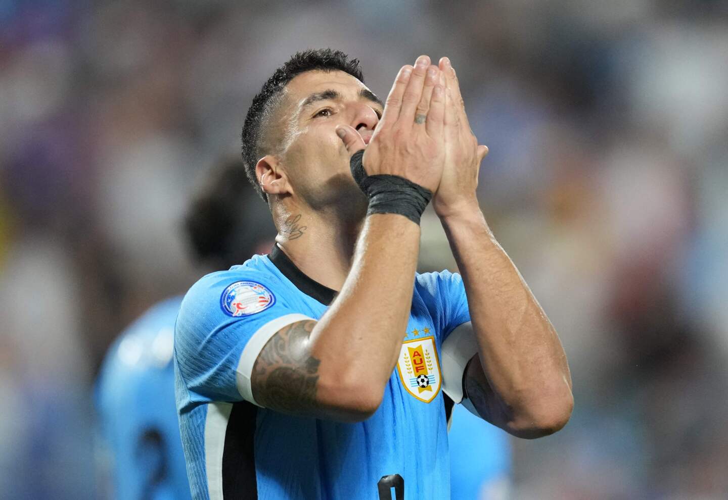 oyroygoyai-paragoyai-070924