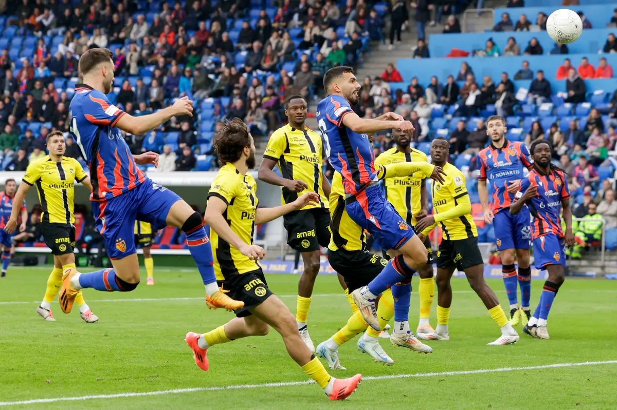 gioyngk-mpois-vasileia-301024