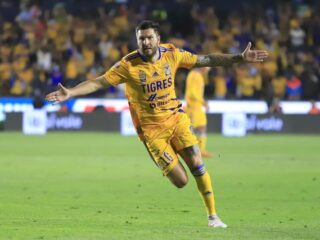 Τίγκρες - Πατσούκα