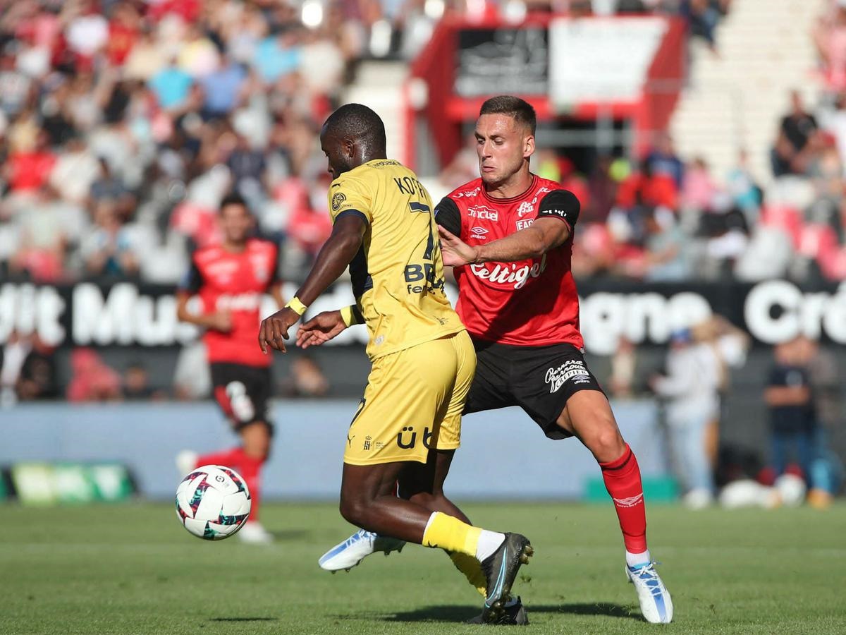 Γκινγκάμπ - Πο προγνωστικά Γαλλίας