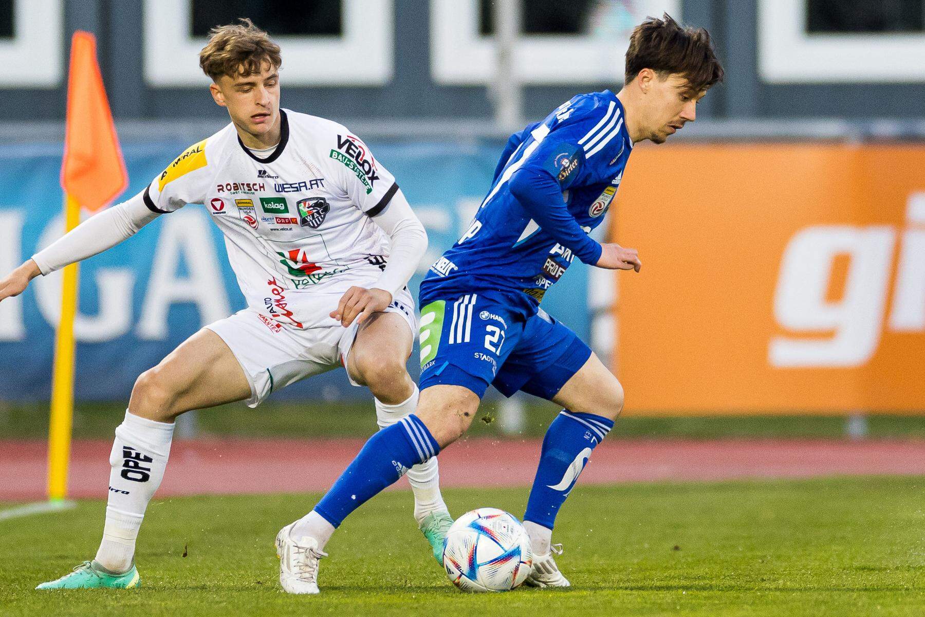 volfsmpergker-xartmpergk-051024