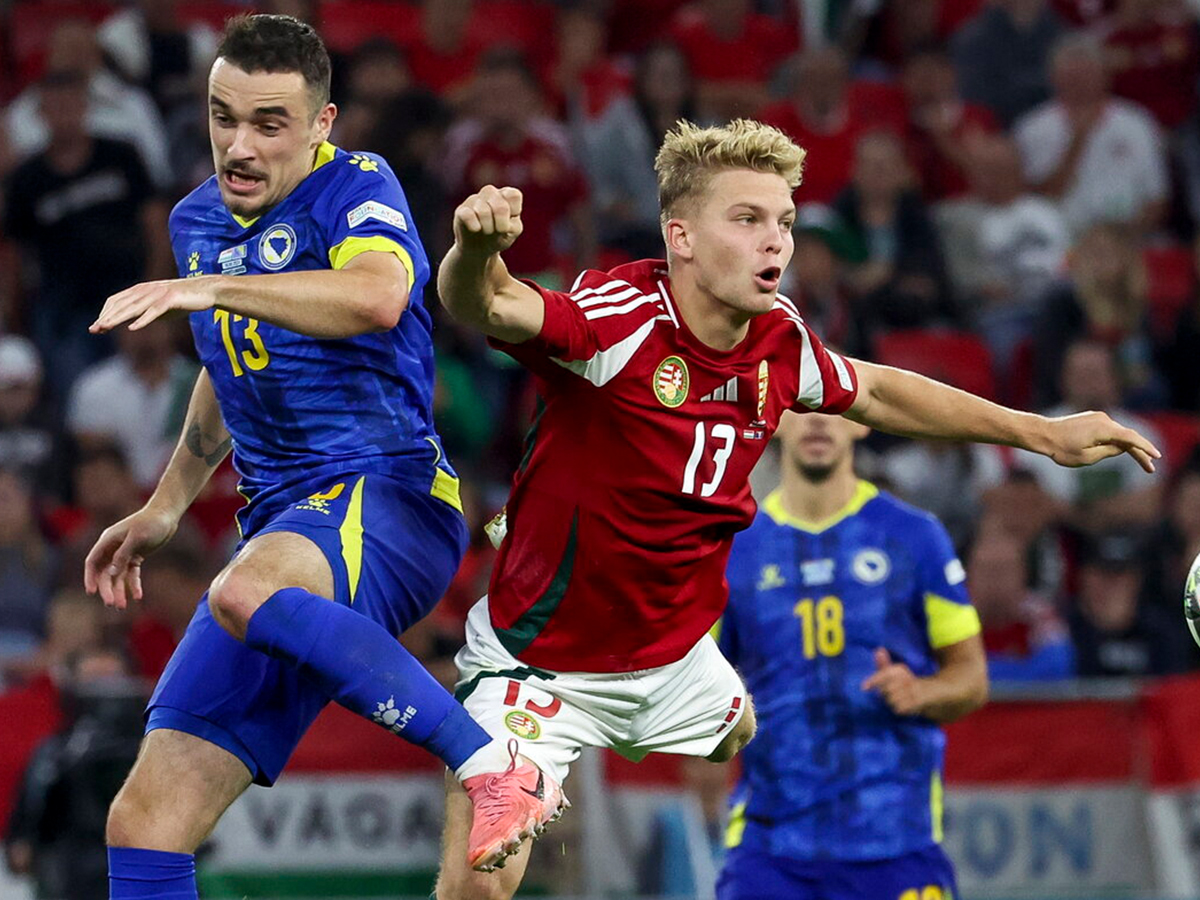 vosnia-erzegovini-oyggaria-141024