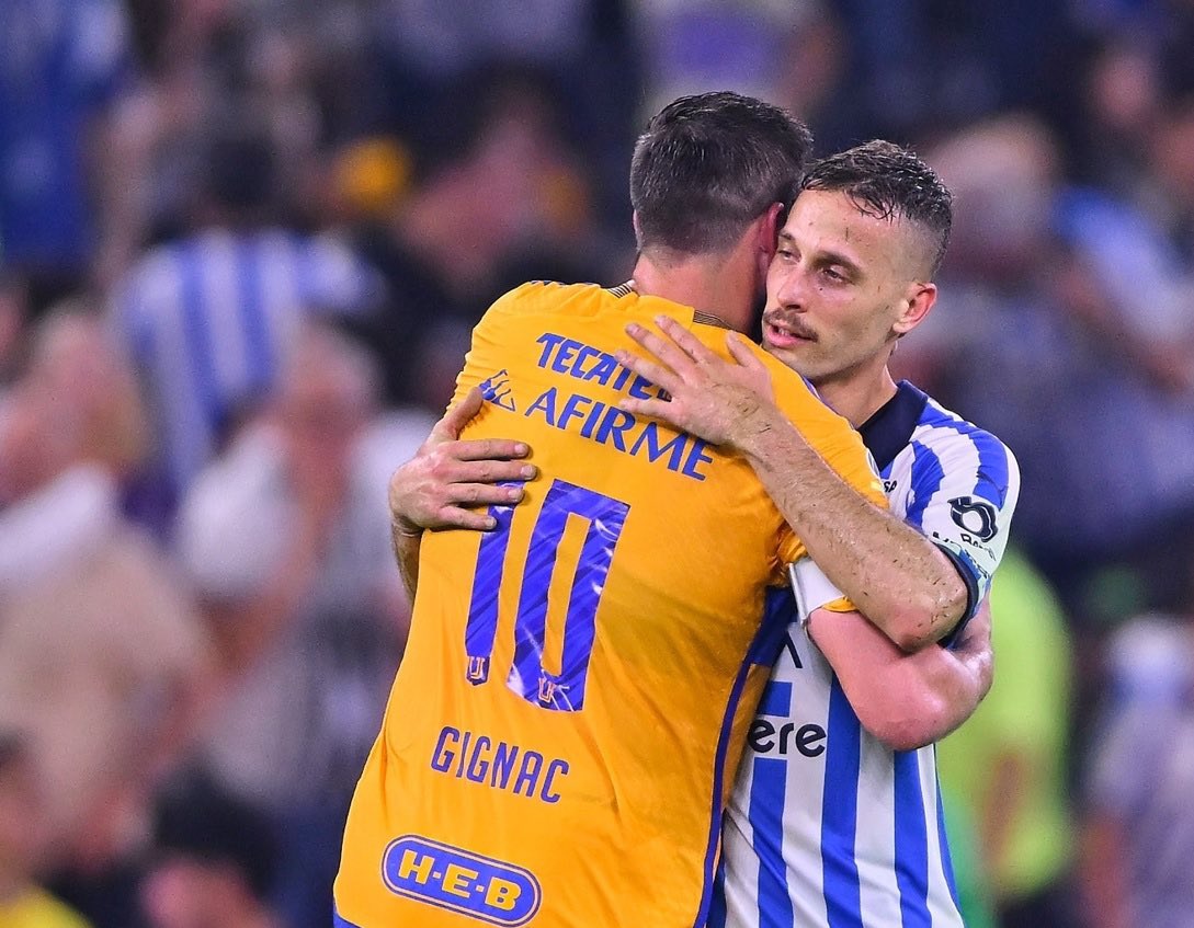 monterei-tigkres-201024