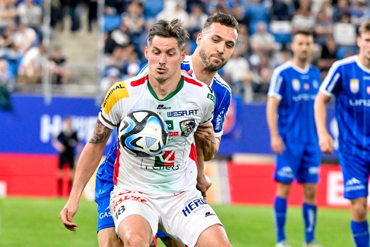 mplaoy-vais-lints-volfsmpergker-191024