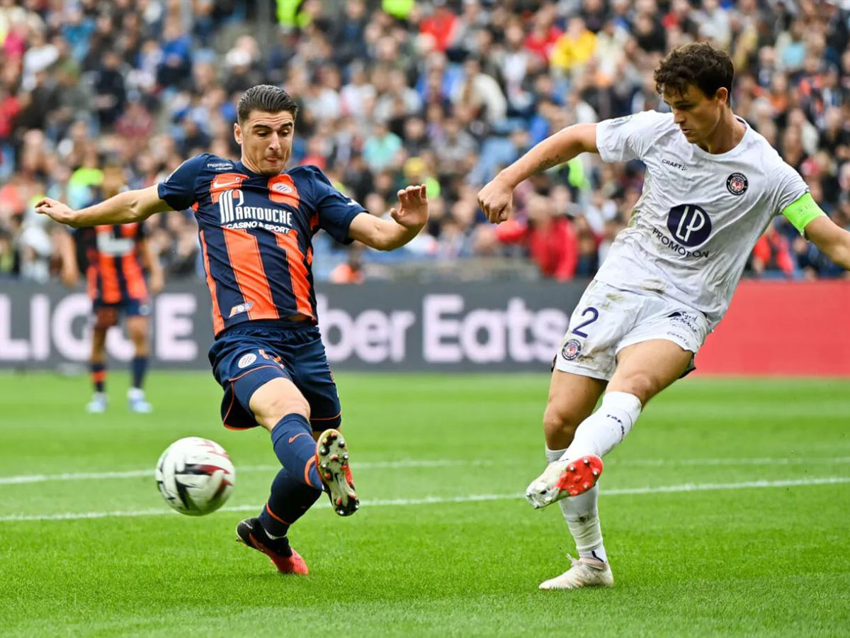 monpelie-toyloyz-271024