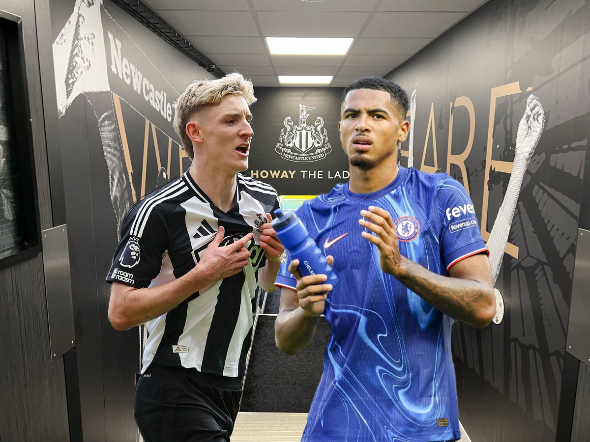 nioykastl-tselsi-301024