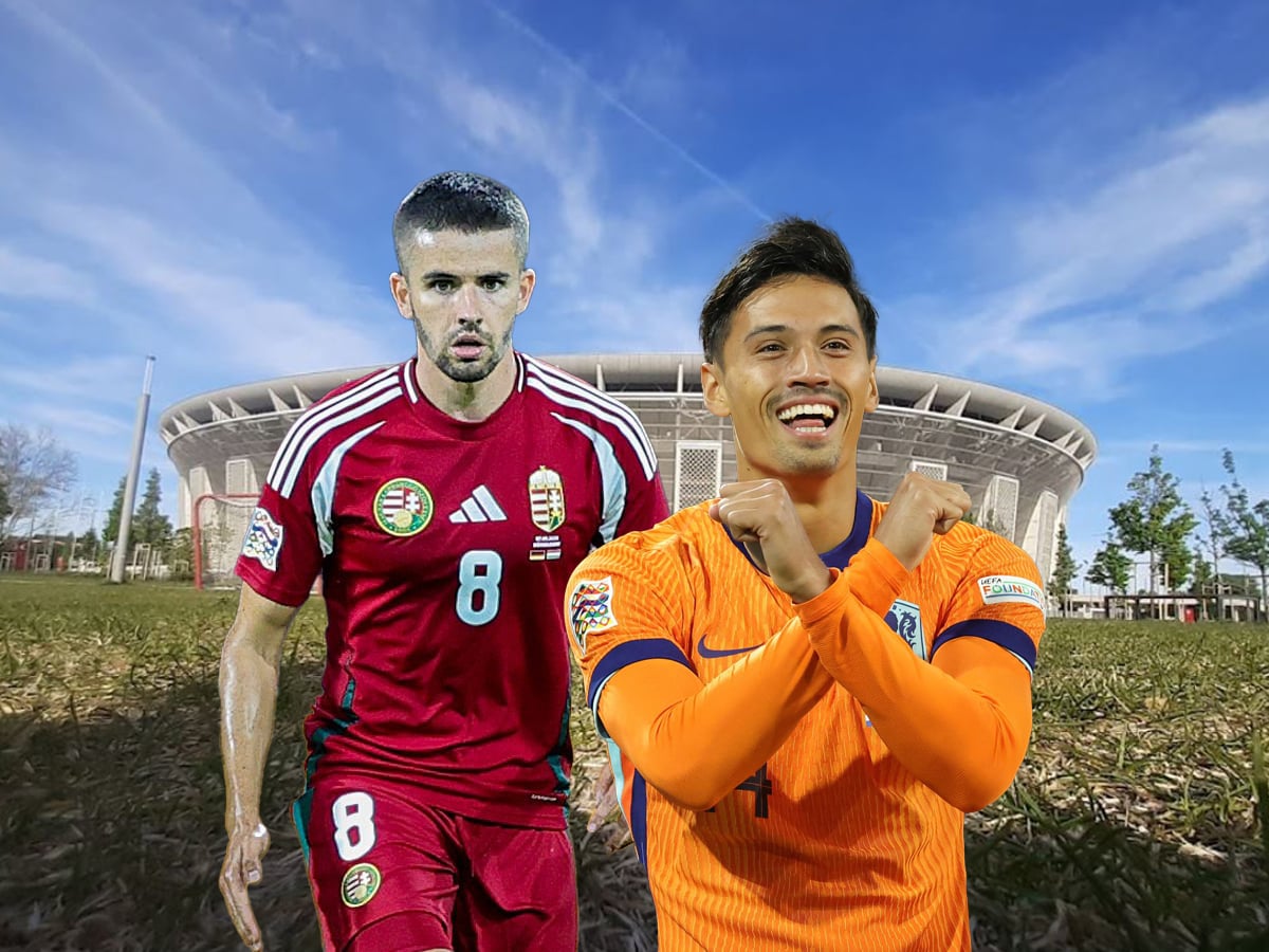 oyggaria-ollandia-111024