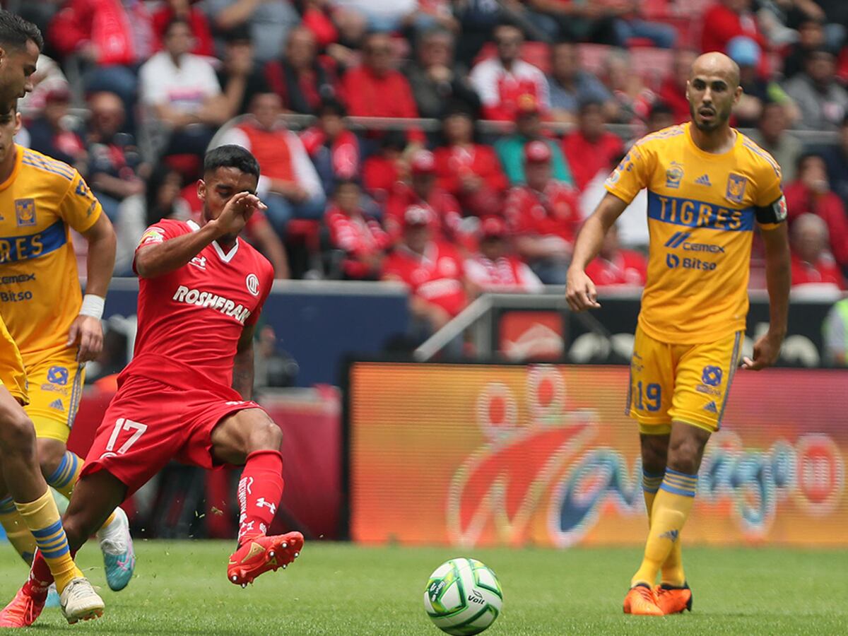 tigkres-toloyka-071124