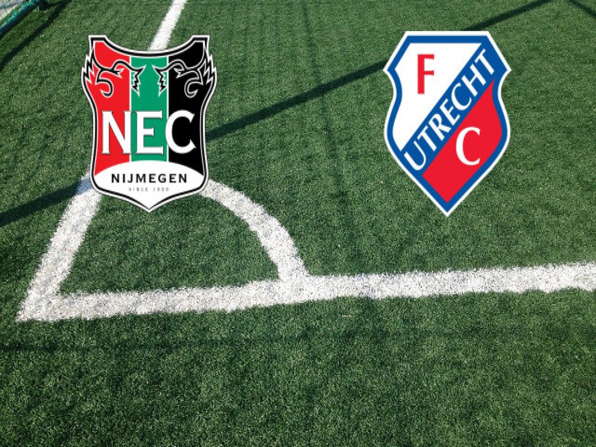 naimegken-oytrexti-241124