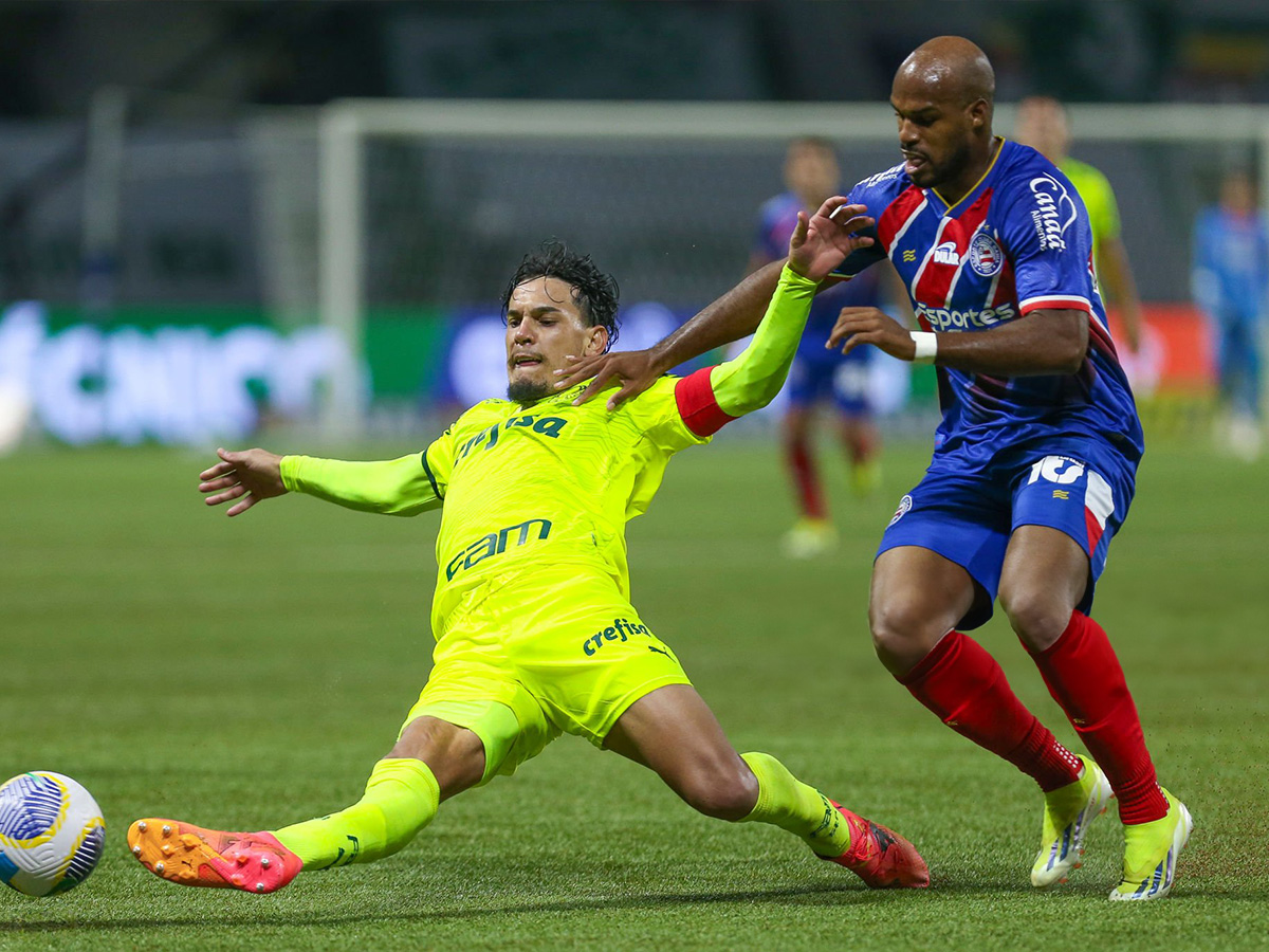 mpa-a-palmeiras-201124