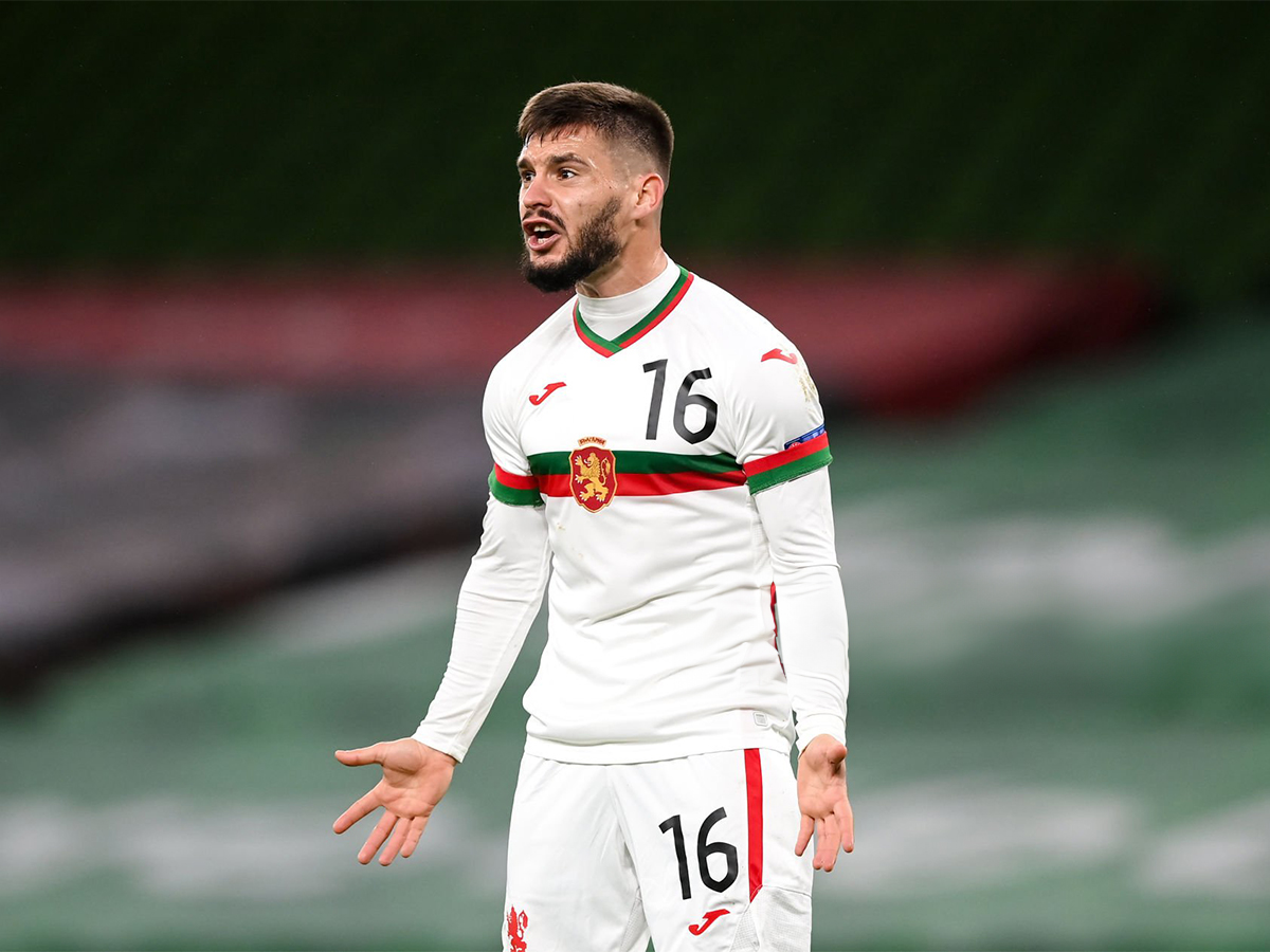 voylgaria-leykorosia-181124